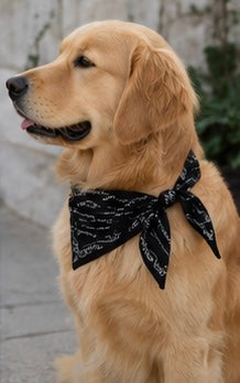 Terpsichorean Bandana