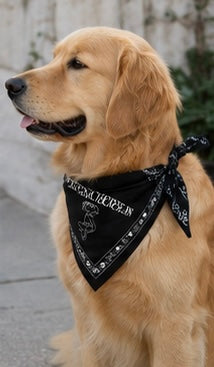 Terpsichorean Bandana